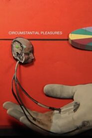 Circumstantial Pleasures (2020) • Lektor PL