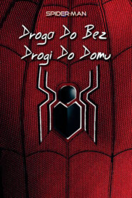 Spider-Man: Droga do Bez drogi do domu (2022) • Lektor PL