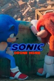 Sonic Drone Home (2022) • Lektor PL