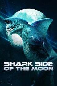 Shark Side of the Moon (2022) • Lektor PL