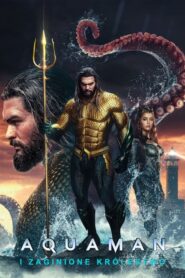 Aquaman i Zaginione Królestwo (2023) • Lektor PL