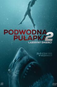Podwodna pułapka 2: Labirynt śmierci (2019) • Lektor PL