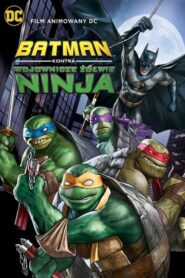 Batman kontra Wojownicze Żółwie Ninja (2019) • Lektor PL