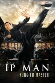 Ip Man Kung Fu Master (2019) • Lektor PL