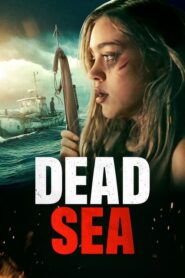 Dead Sea (2024) • Lektor PL