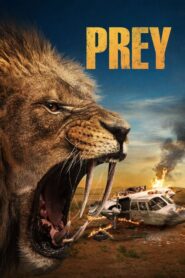 Prey (2024) • Lektor PL