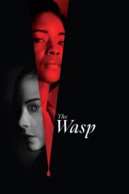 The Wasp (2024) • Lektor PL