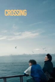 Crossing (2024) • Lektor PL