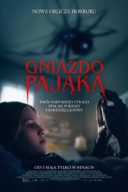 Gniazdo pająka (2024) • Lektor PL