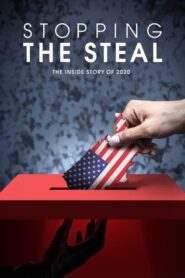 Stopping the Steal (2024) • Lektor PL