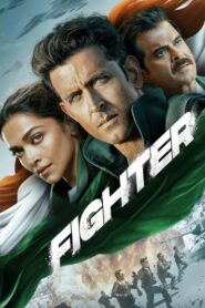 Fighter (2024) • Lektor PL