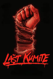 The Last Kumite (2024) • Lektor PL