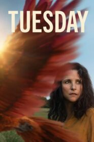 Tuesday (2024) • Lektor PL